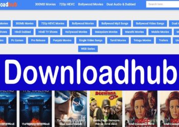 DownloadHub-2022